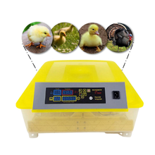 Load image into Gallery viewer, 48 Eggs Automatic Digital Egg Incubator
