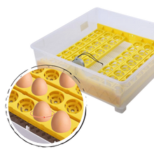 Load image into Gallery viewer, 48 Eggs Automatic Digital Egg Incubator
